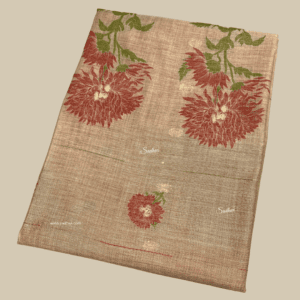 Chiku Pure Paithani X Jamdhani Cotton Saree