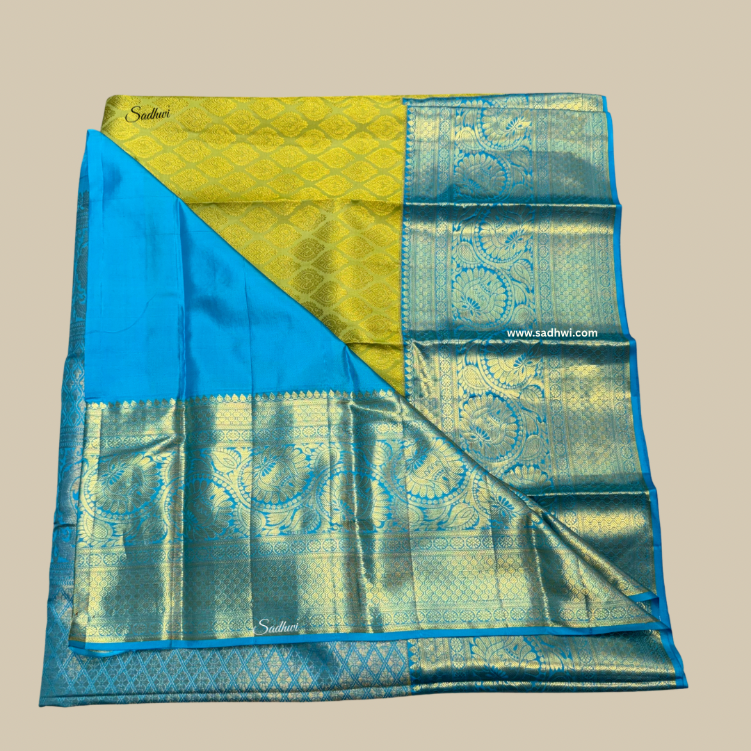 Kanchipuram silk saree| Sadhwi.com